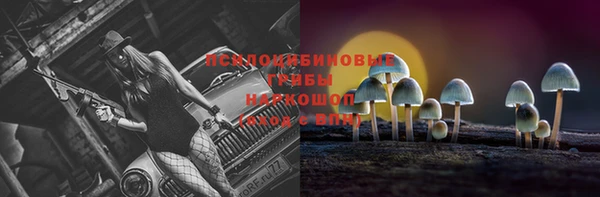 дживик Белокуриха
