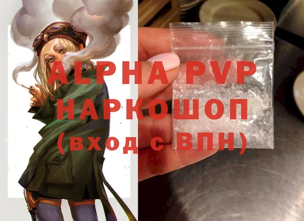 дживик Белокуриха