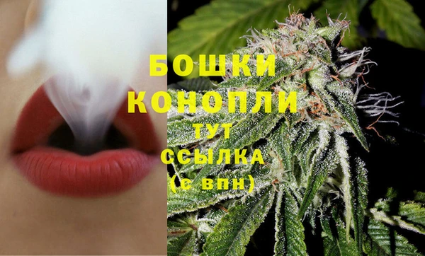 дживик Белокуриха