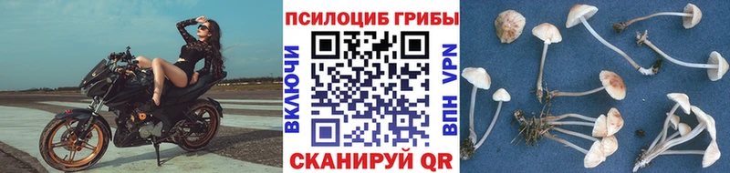 кракен ССЫЛКА  купить наркотик  Нерехта  Псилоцибиновые грибы ЛСД 